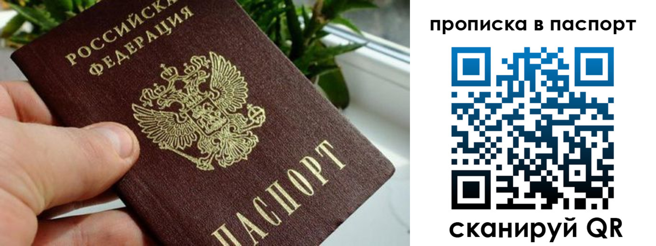 пропишу в квартире в Фурманове